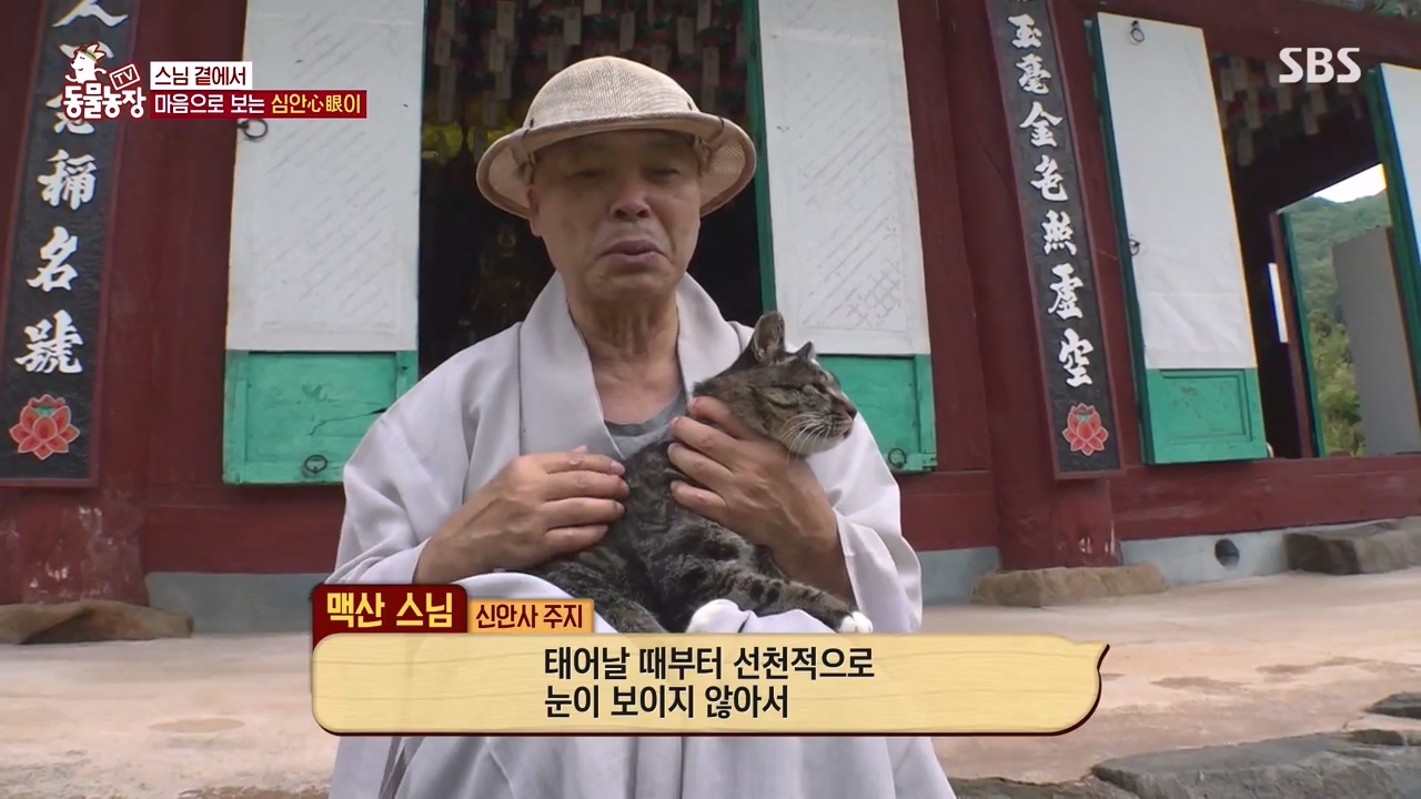 TV 동물농장.E1143.231030p-NEXT.mp4_20231029_161346.836.jpg