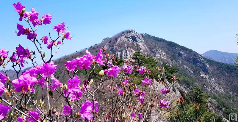 밀양 북암산 문바위 억산