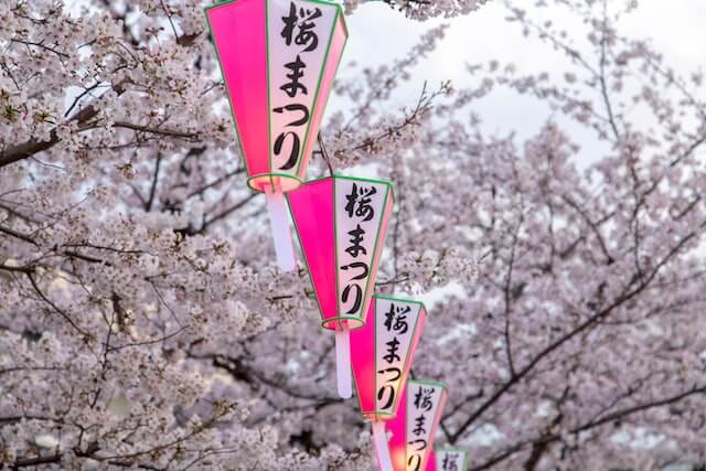 일본의 벚꽃 축제