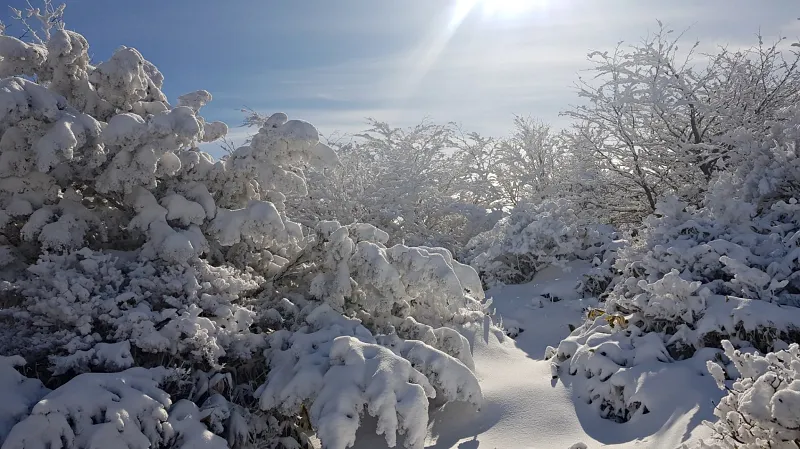 제주 한라산 설경 겨울왕국