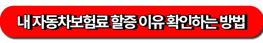보험개발원 시스템-자동차 보험료 할증조회 방법
