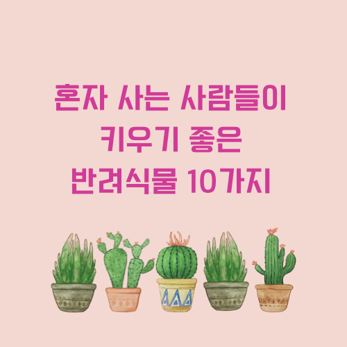 혼자사는사람들이키우기좋은반려식물