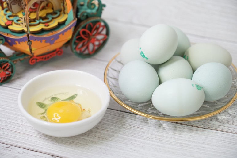 청계알 중요한 이라고 해요 [순천청계농장] 20