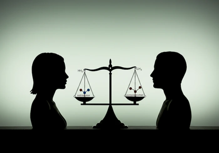 남녀 실루엣과 호르몬 변화를 상징하는 균형 잡힌 이미지