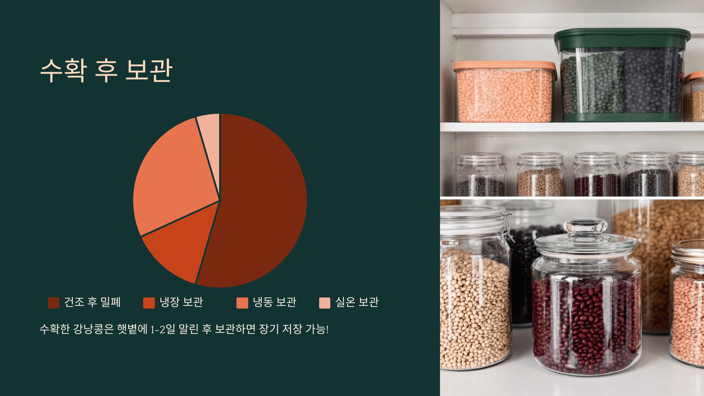 강낭콩 사진입니다.