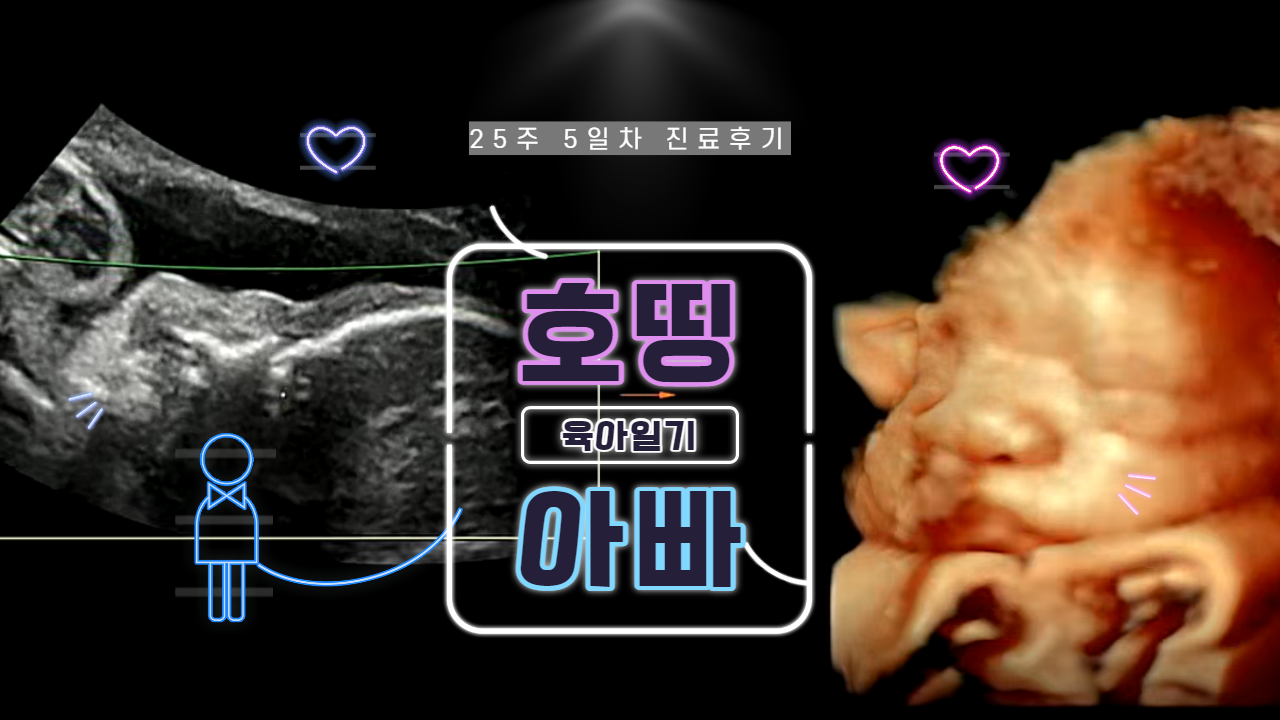 호띵이 진료일기 ("5D 정밀초음파" 검사 후기)