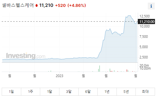 셀바스헬스케어 주가그래프