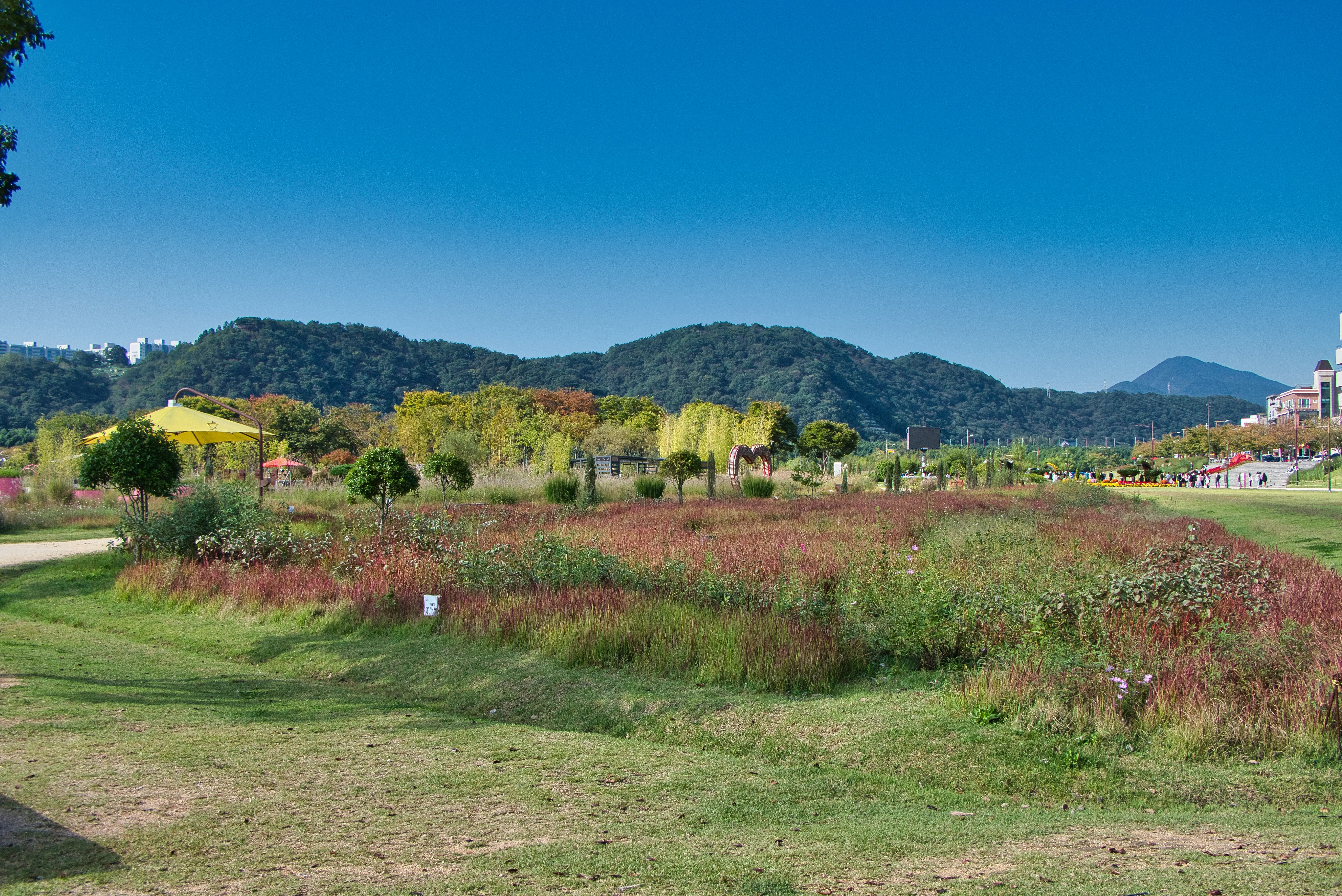 img.webp