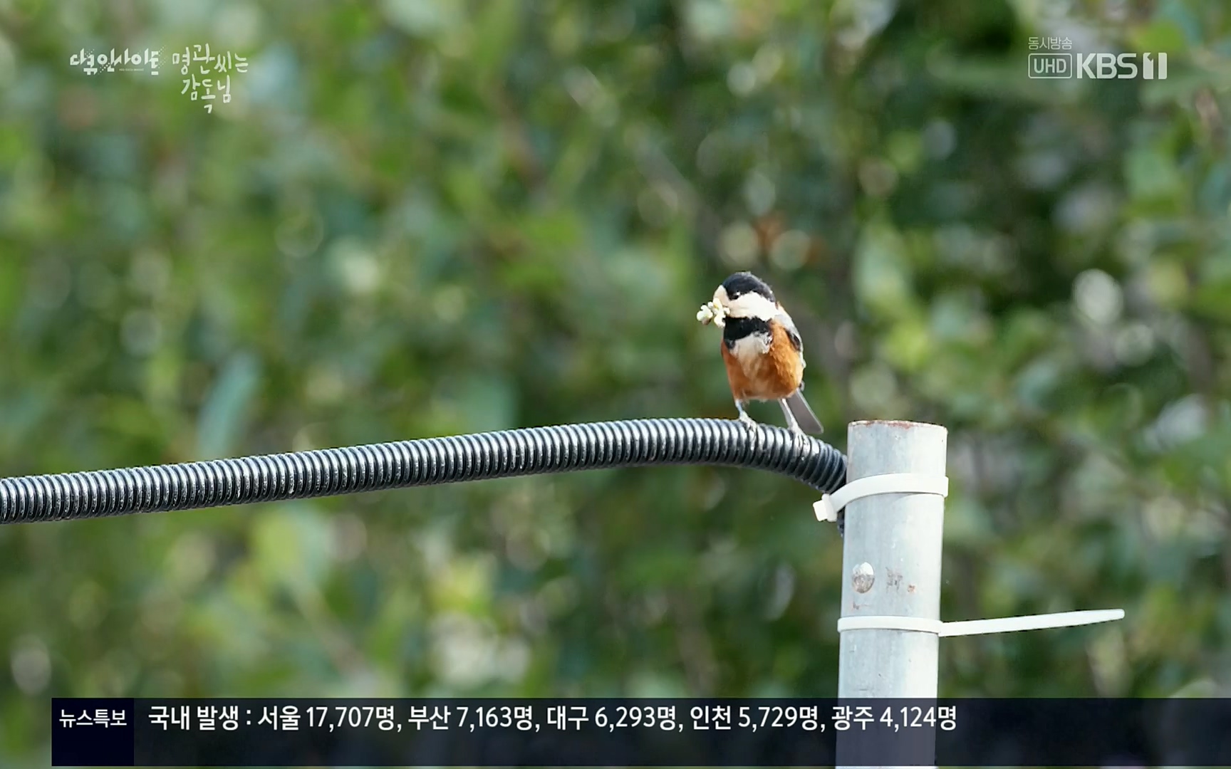 다큐 인사이트.E122.220825p.H264-F1RST.mp4_20220826_152316.462.jpg