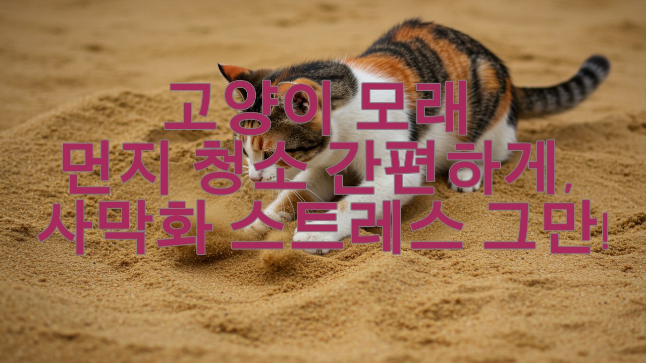 고양이 모래 먼지 청소 간편하게, 사막화 스트레스 이제 그만!