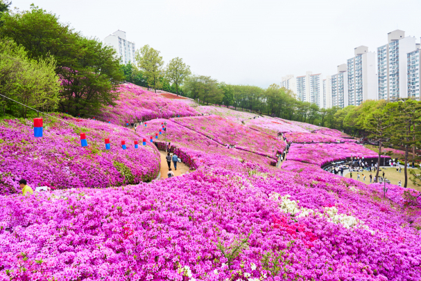 경기도 봄꽃 명소