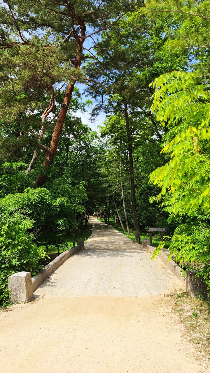 동구릉숲길개방