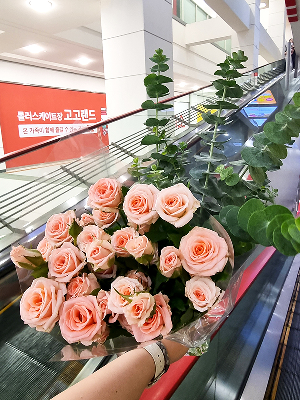장미꽃 유칼립투스