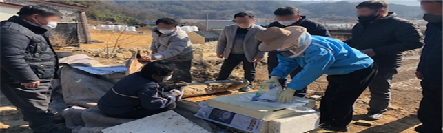  집단벌집붕괴현상(CCD)의 국내 사례 및 시사점
