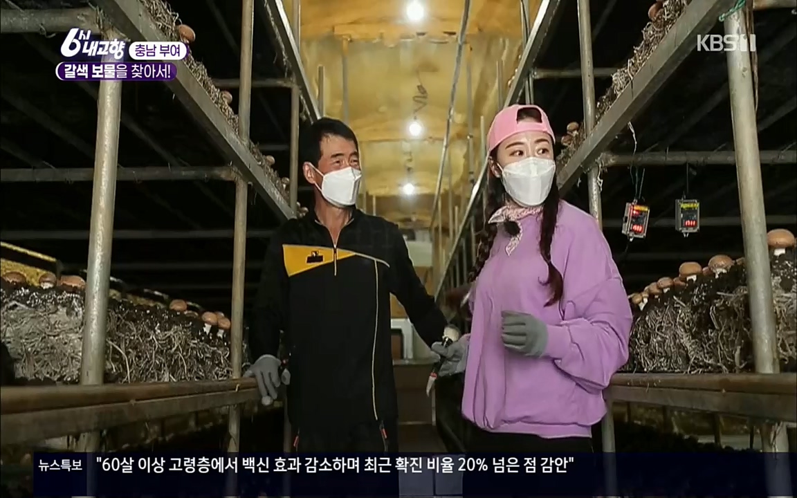 6시 내고향.E7512.220416p.H264-F1RST.mp4_20220502_185449.990.jpg