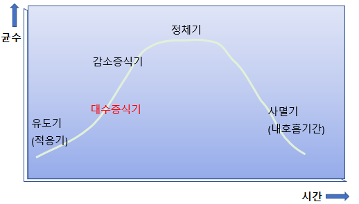 미생물의 증식 그래프