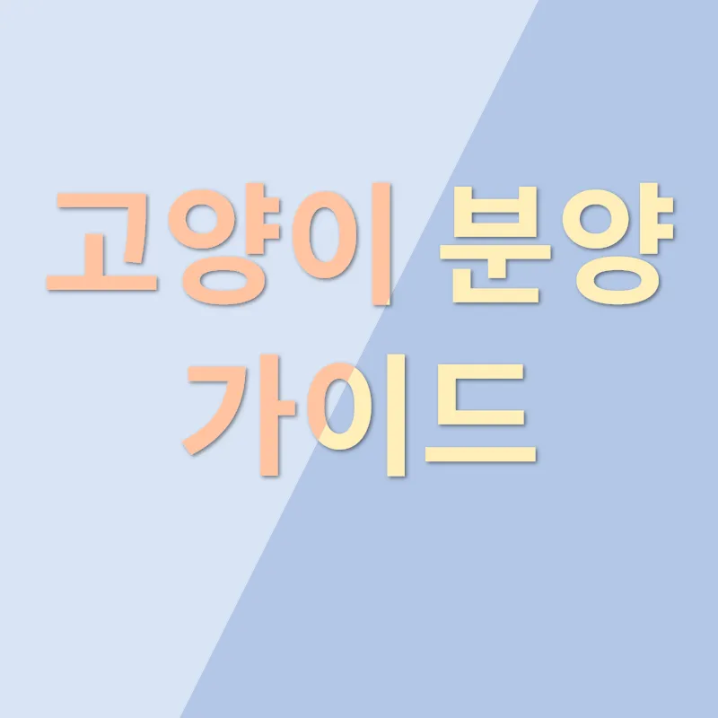 고양이 분양_2