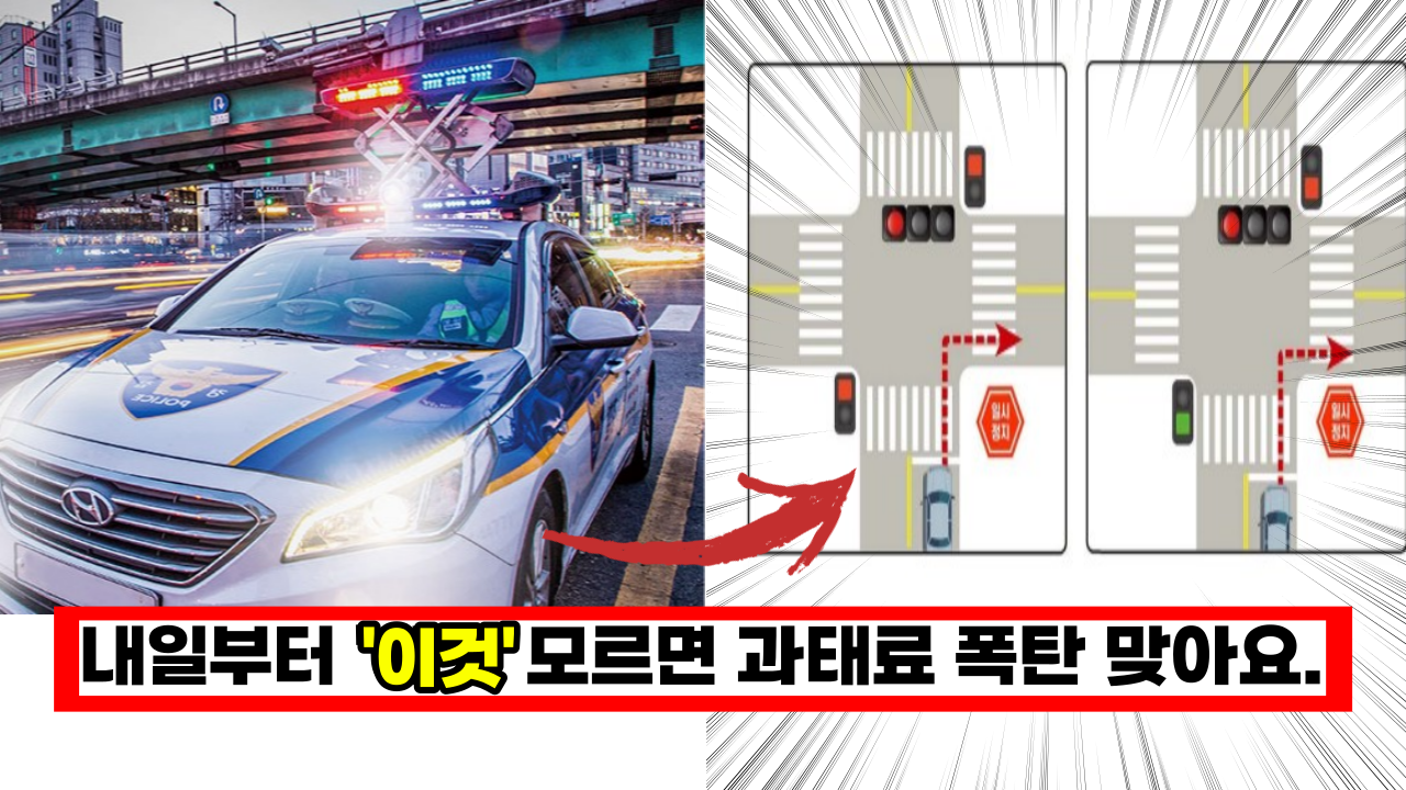  내일부터 바로 시행, 꼭 알아둬야 되는 새로운 교통 법규 7가지 모르면  과태료 폭탄 맞아요.