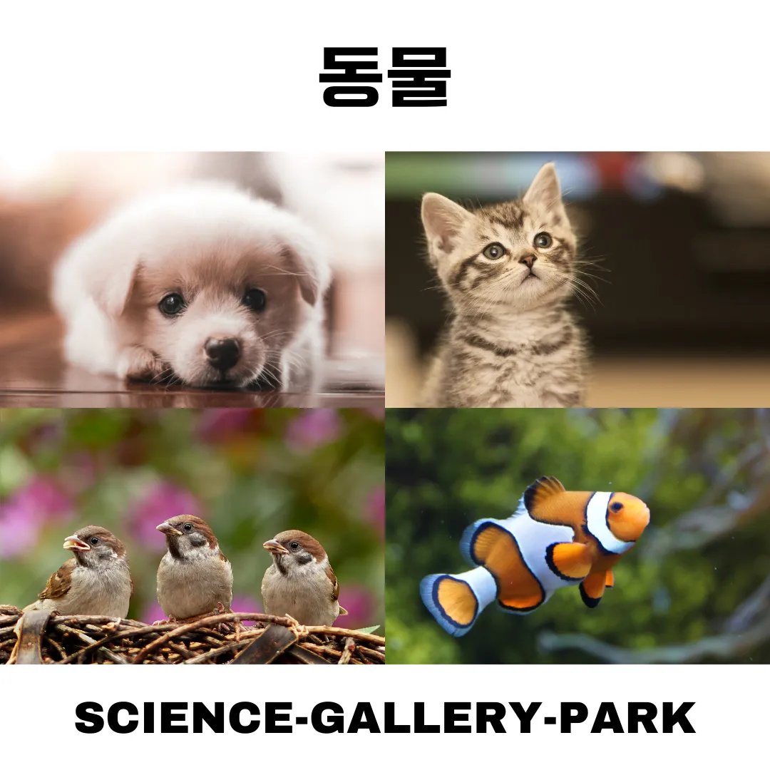 동물