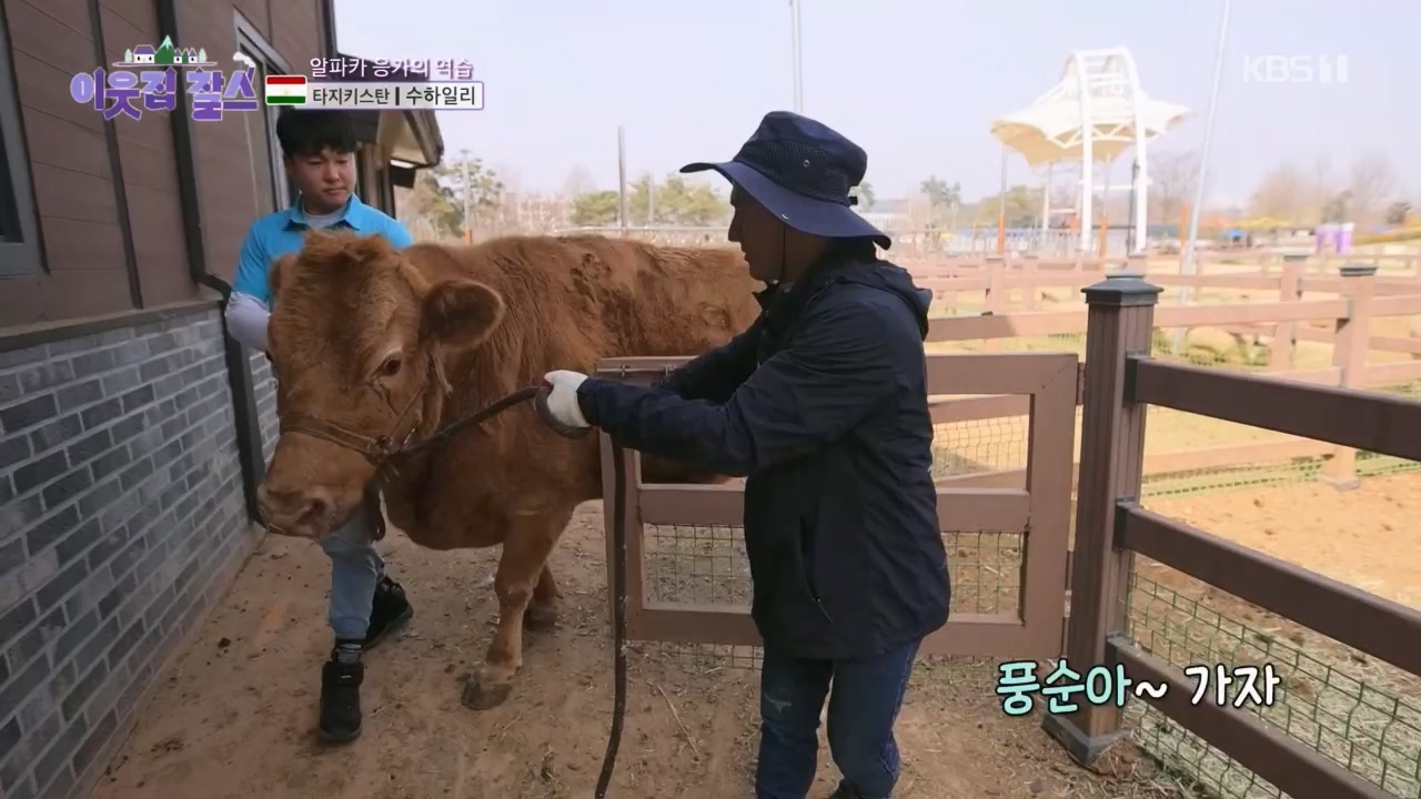 이웃집 찰스.E383.230419p.H264-F1RST.mp4_20230419_202141.281.jpg