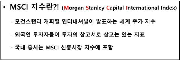 MSCI 지수 정의 의미 설명