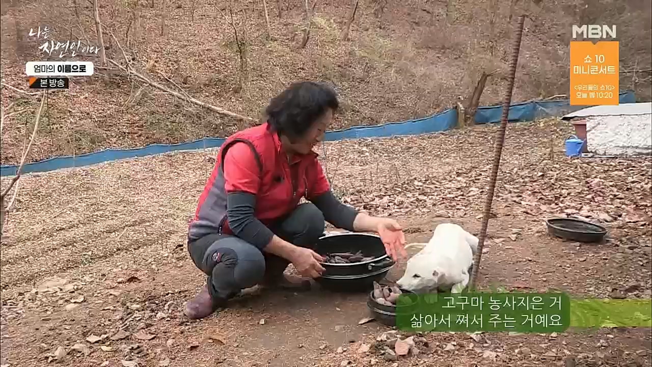 나는 자연인이다.E531.221208p.H264-F1RST.mp4_20221208_204243.917.jpg