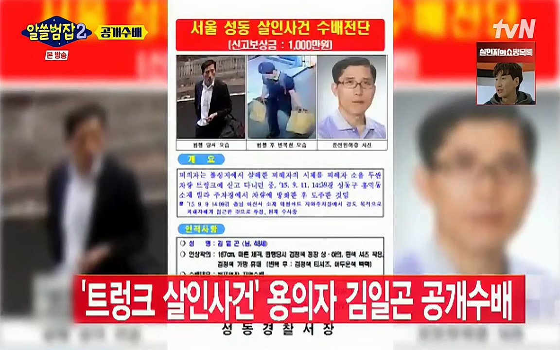 알쓸범잡 2.E14.220418p-NEXT.mp4_20220418_180634.207.jpg