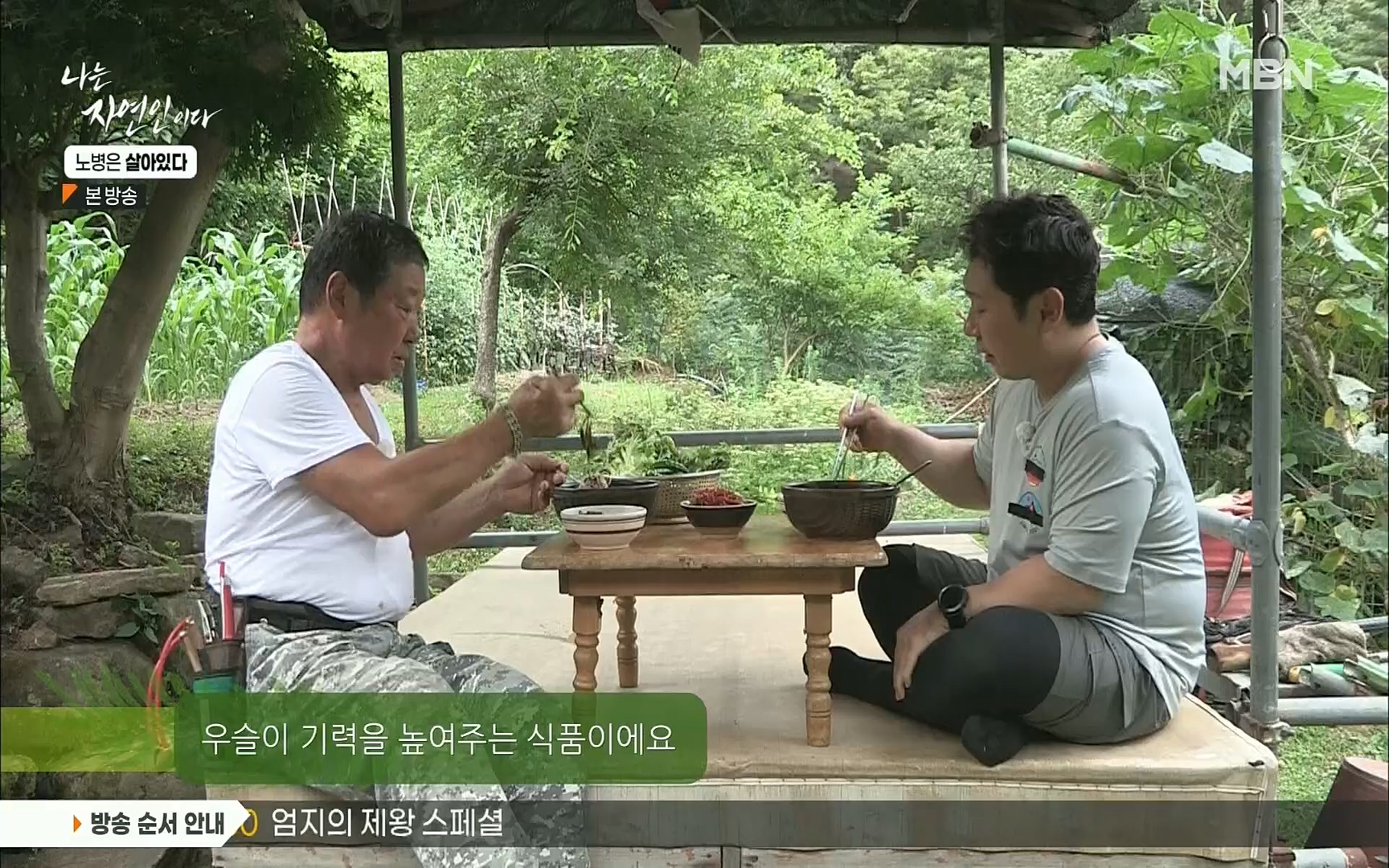 나는 자연인이다.E512.220727p.H264-F1RST.mp4_20220728_200927.615.jpg