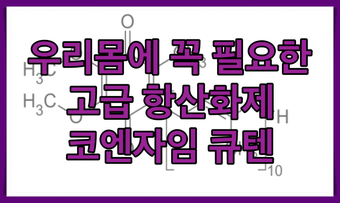 코엔자임 큐텐 썸네일