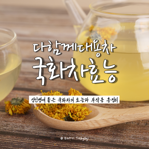  국화차의 효능과 부작용 총정리 (feat. 성인병에 좋은 차)