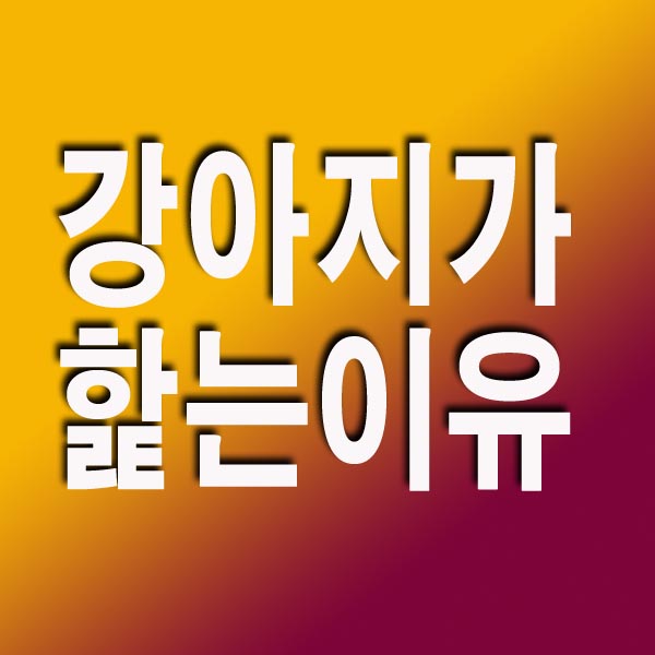 강아지가 핥는이유