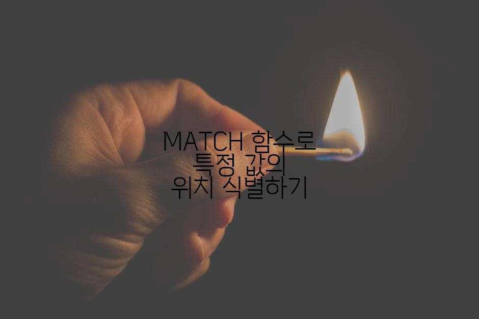 MATCH 함수로 특정 값의 위치 식별하기