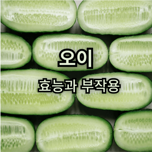  오이의 효능 10가지와 부작용 피클 황금레시피
