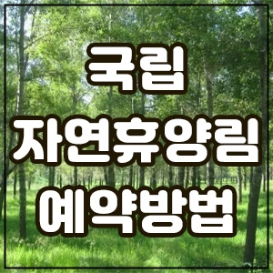 대표섬네일사진