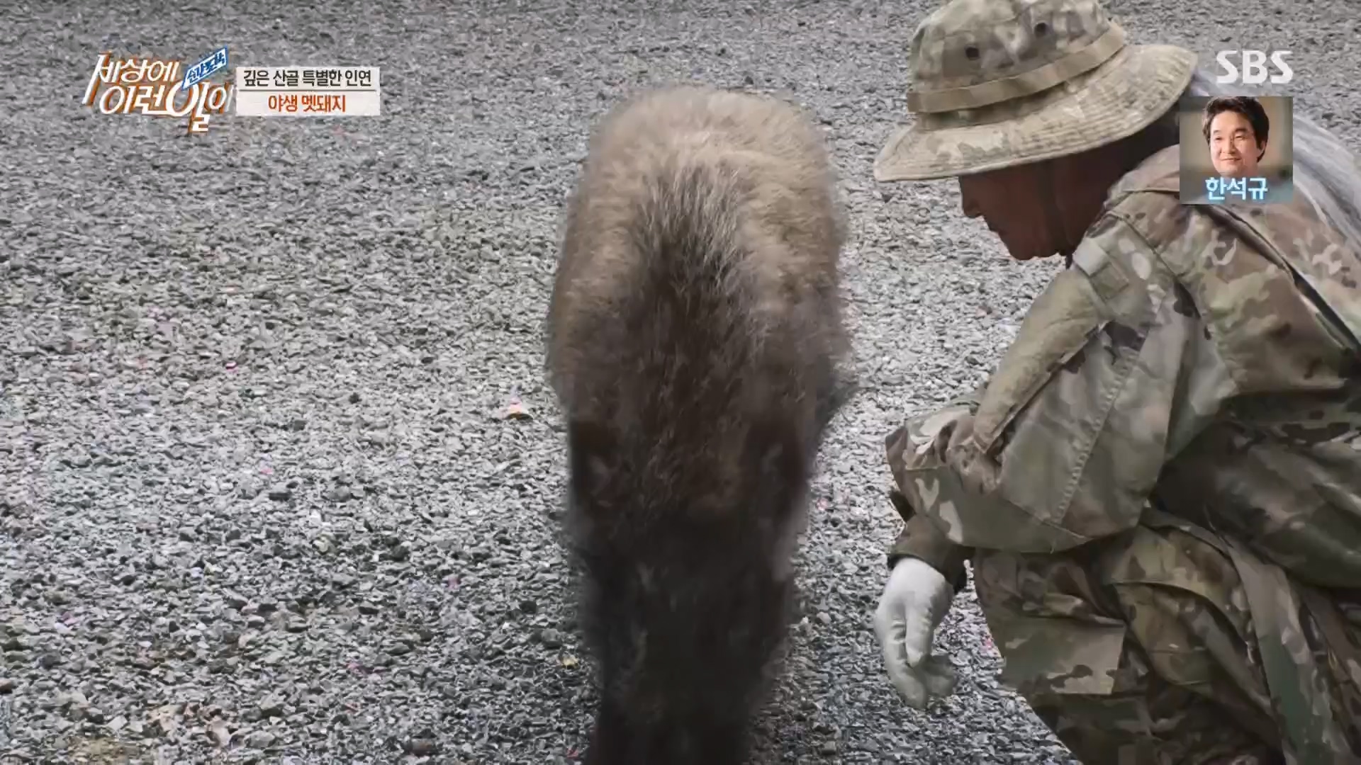 순간포착 세상에 이런일이.E1227.230425p.H264-F1RST.mp4_20230426_194342.112.jpg