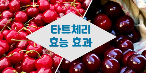  몽모랑시 타트체리 효능 원액vs젤리