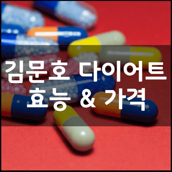김문호-비책다이어트-효능-가격
