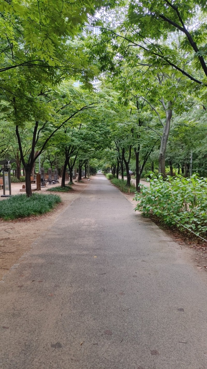  신기하게도 신선해진 밤공기 가을이 오고 있다는 신호이겠죠? 처서야 고마워 !