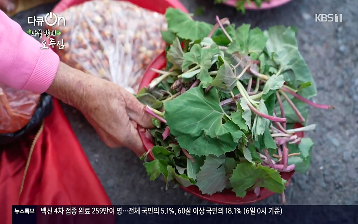 다큐 온.E138.220507p-NEXT.mp4_20220507_183359.123.jpg