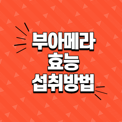  부아메라 효능과 섭취방법 및 주의사항