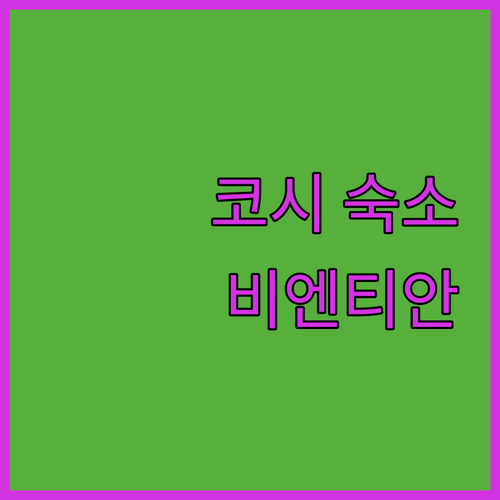 코시 비엔티안 남 푸 숙박 후기! 비