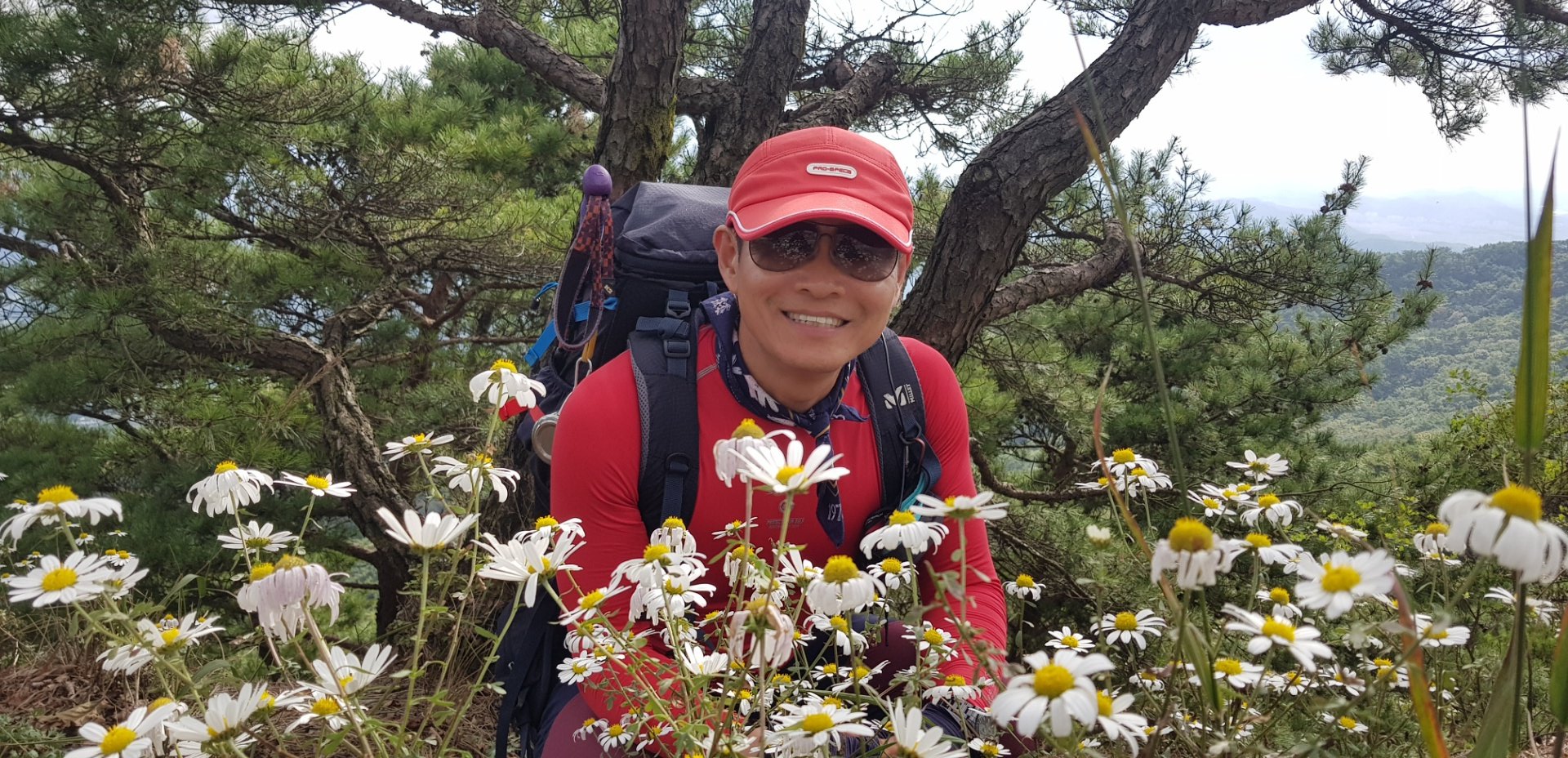 대구 영천 팔공산 암벽과 구절초