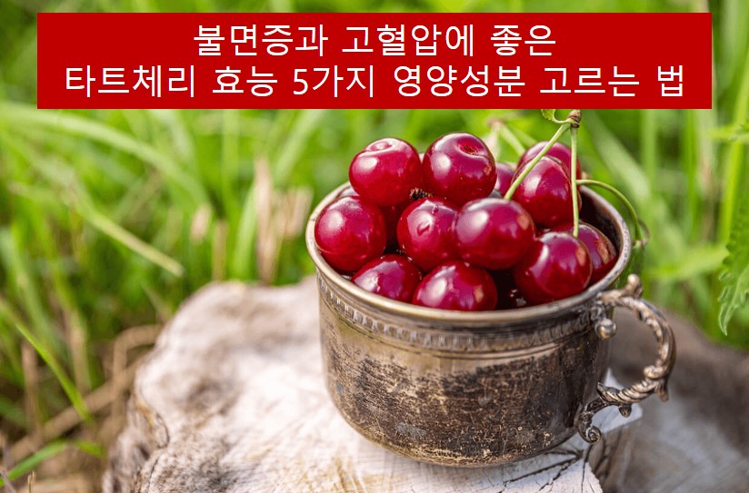 불면증과 고혈압에 좋은 타트체리 효능 5가지