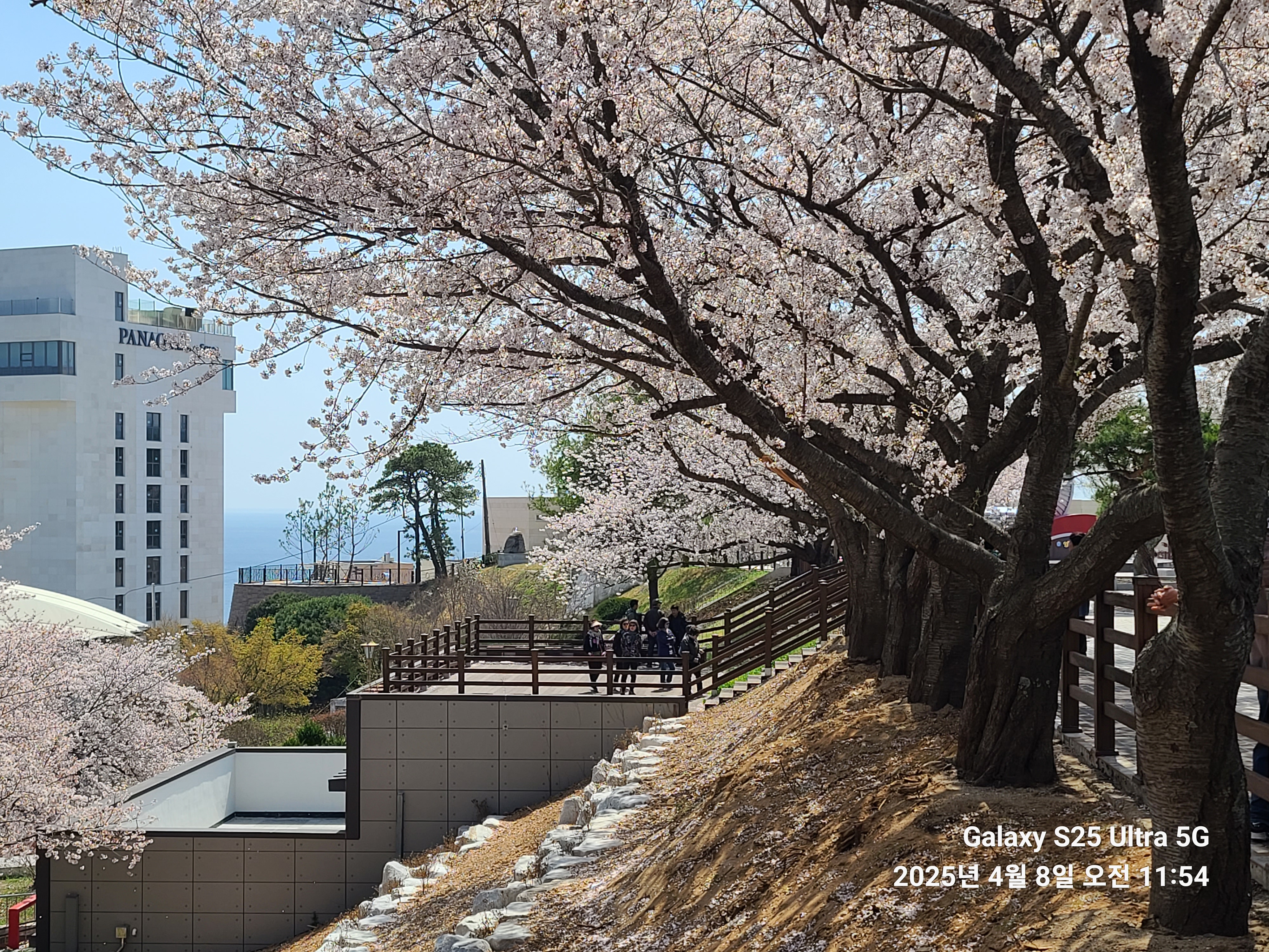 삼사해상공원(하행) 이미지