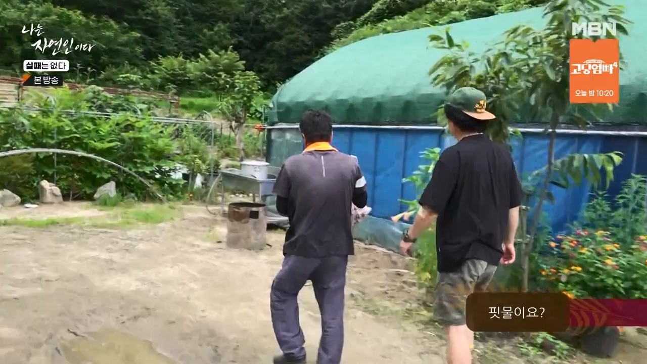 나는 자연인이다.E567.230817p-NEXT.mp4_20230817_202911.067.jpg