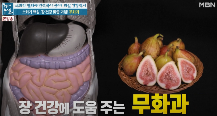 무화과 효능 1