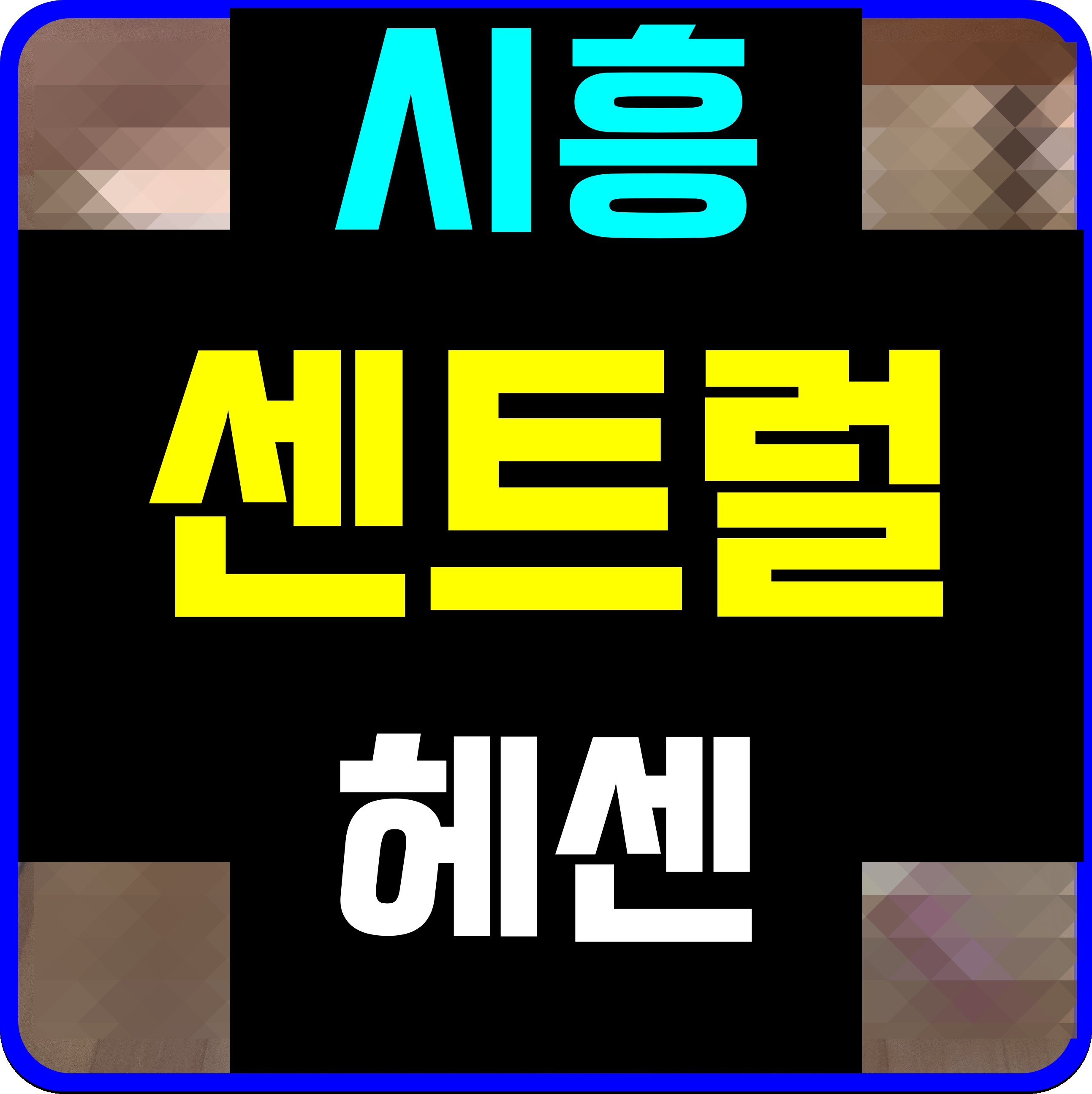  시흥 센트럴 헤센 아파트 분양 정보 월곶동 현장