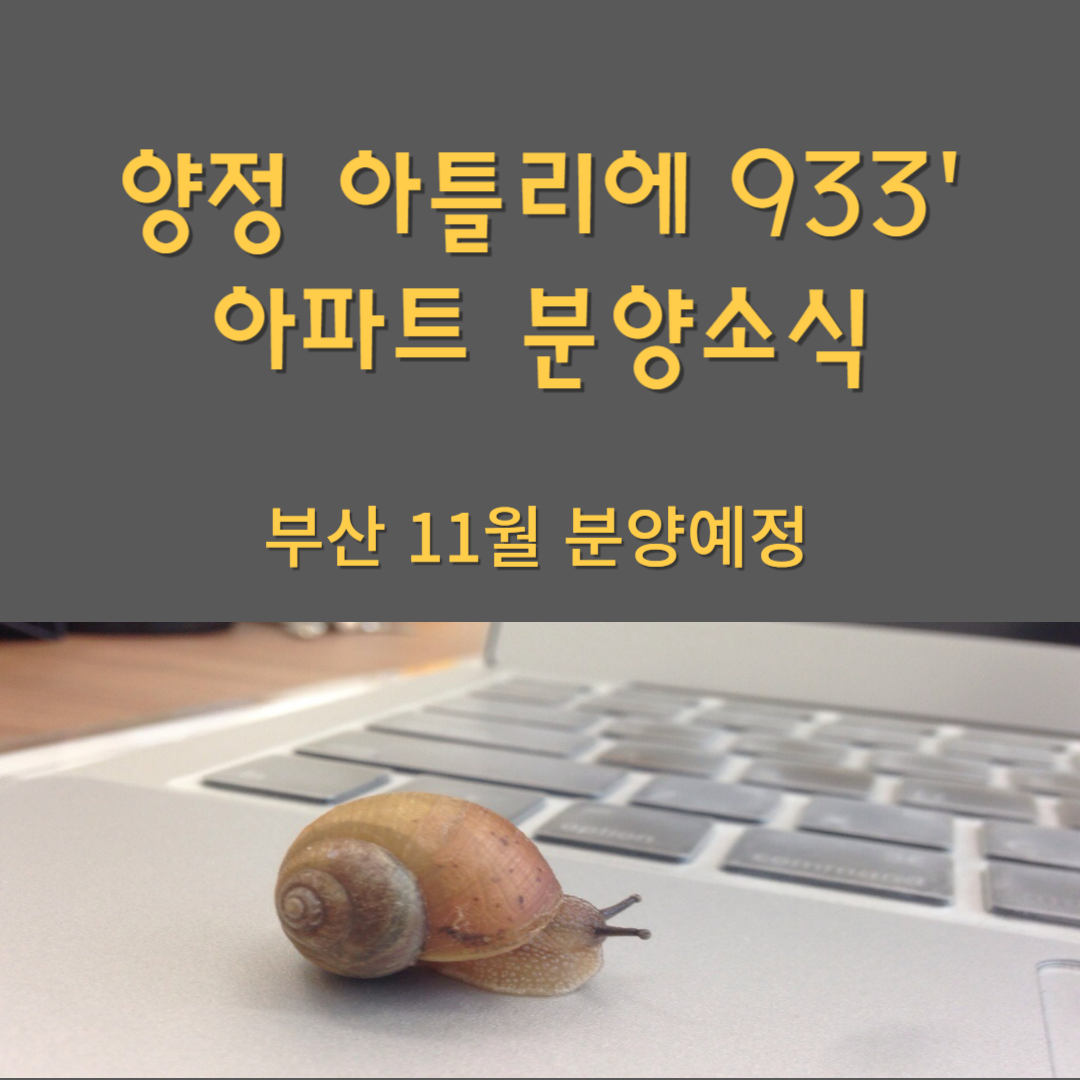 양정 아틀리에 933