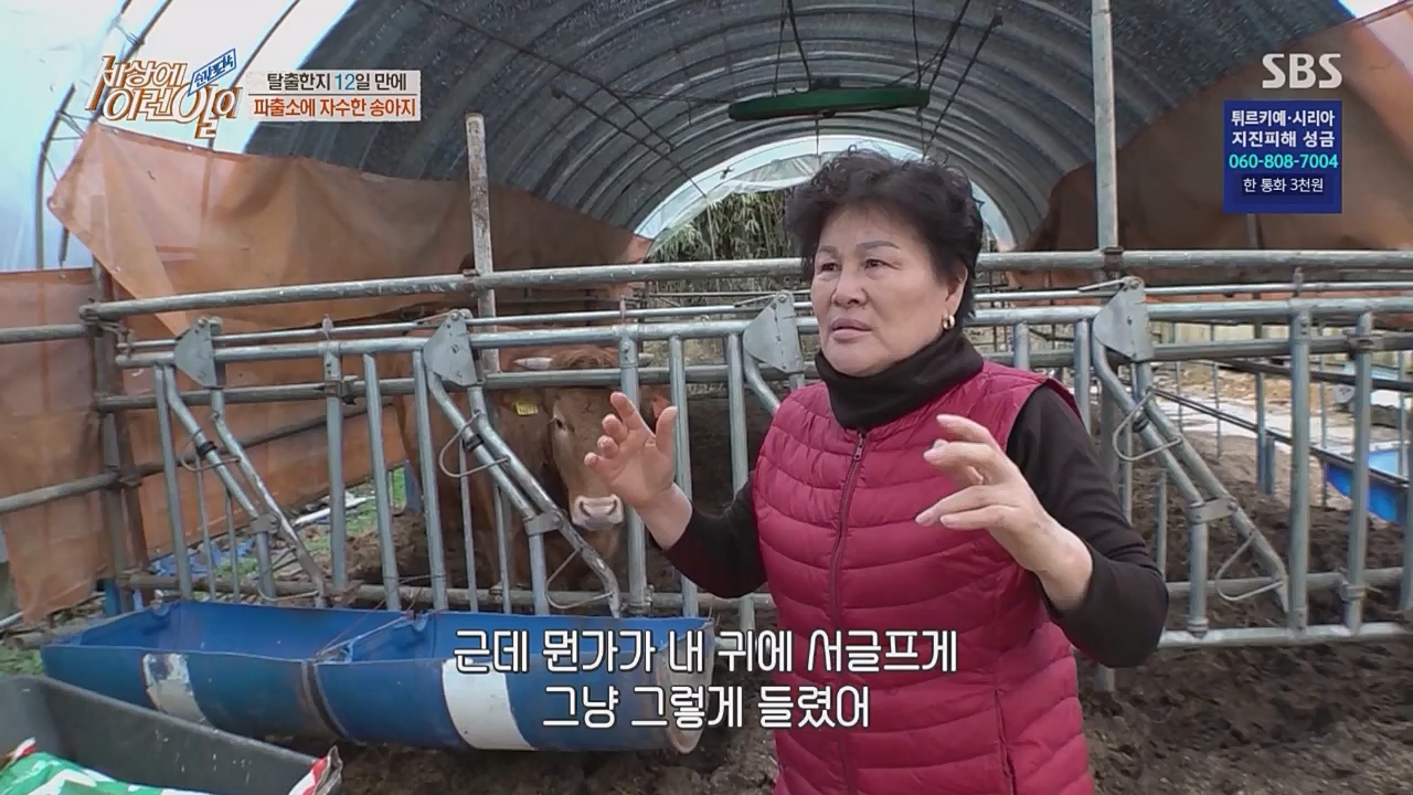 순간포착 세상에 이런 일이.E1217.230215p.WANNA.mp4_20230215_194722.857.jpg