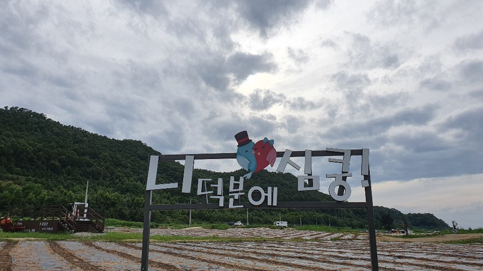 구름 가득한 하늘